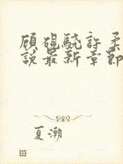 顾砚骁许柔汐小说最新章节更新时间封面