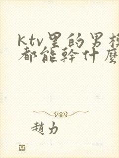 ktv里的男模都能干什么