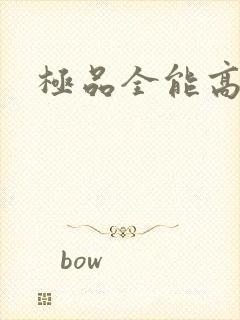 极品全能高手封面