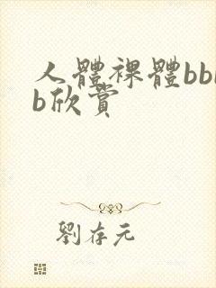 人体裸体bbbb欣赏