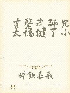 有声我师兄实在太稳健了小说封面