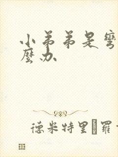 小弟弟是弯的怎么办