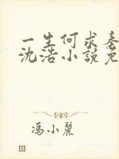 一生何求秦菲雪沈浩小说免费阅读全文笔趣阁封面