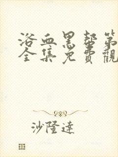 浴血黑帮第二季全集免费观看