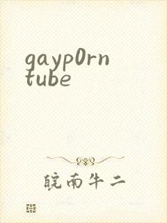 gayp0rntube