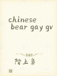 chinese bear gay gv