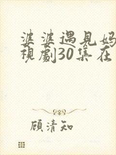 婆婆遇见妈妈电视剧30集在线观看