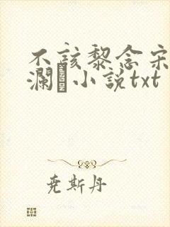 不该黎念宋祈然澜璘小说txt