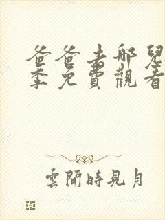 爸爸去哪儿第5季免费观看