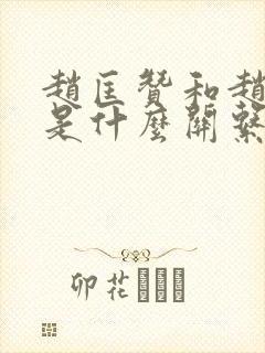 赵匡赞和赵匡胤是什么关系