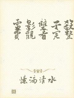 电影双子杀手免费观看完整版封面