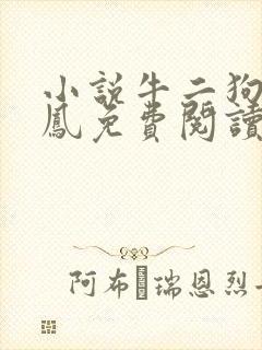 小说牛二狗陈小凤免费阅读