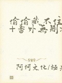 偷偷藏不住全文+番外无删减