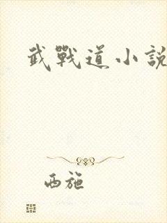 武战道小说