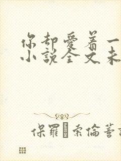 你却爱着一个他小说全文未删减免费封面