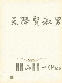 天降贤淑男小说