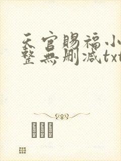 天官赐福小说完整无删减txt