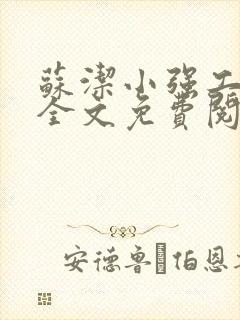 苏洁小强工地情全文免费阅读