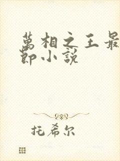 万相之王最新章节小说