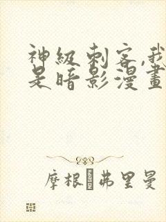 神级刺客,我即是暗影漫画