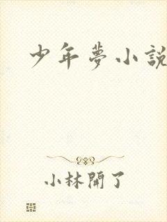 少年梦小说封面