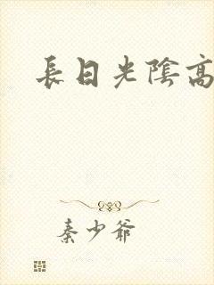 长日光阴高h