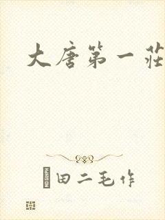 大唐第一庄
