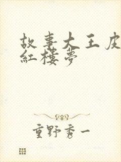 故事大王皮皮讲红楼梦封面