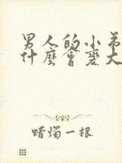 男人的小弟弟为什么会变大封面