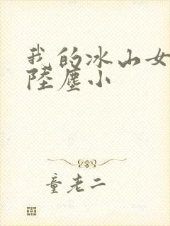 我的冰山女总裁陆尘小