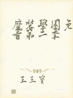 魔装学园免费观看第二季