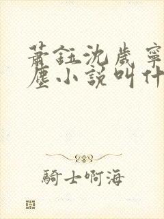 萧钰沈岁宁徐卿尘小说叫什么名字封面