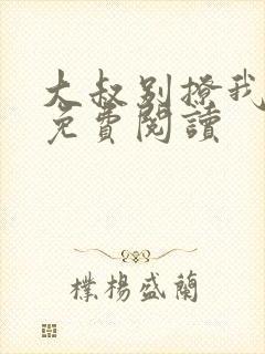 大叔别撩我小说免费阅读