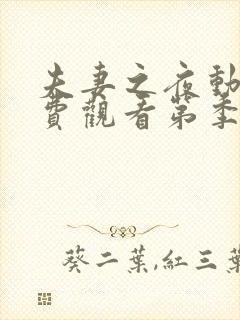 夫妻之夜动漫免费观看第季全集