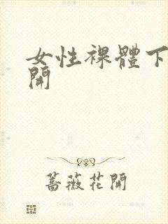 女性裸体下面张开