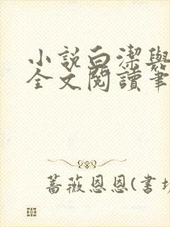 小说白洁与高义全文阅读笔趣阁下载