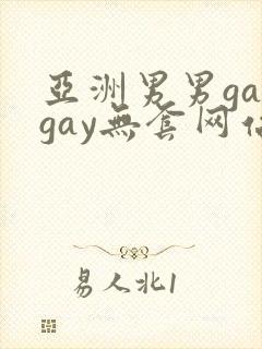 亚洲男男gaygay无套网站