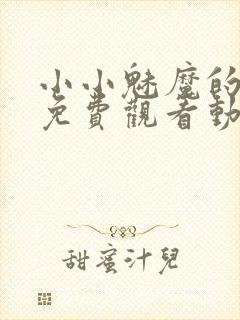 小小魅魔的仆人免费观看动漫版全集