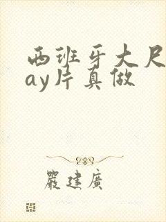 西班牙大尺度gay片真做