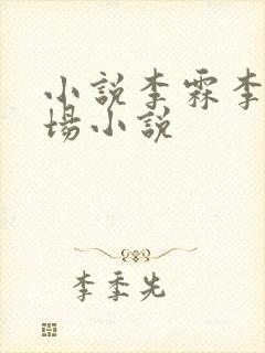 小说李霖李澜官场小说
