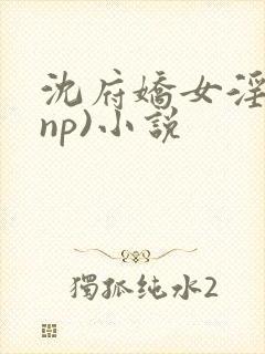 沈府娇女淫史(np)小说