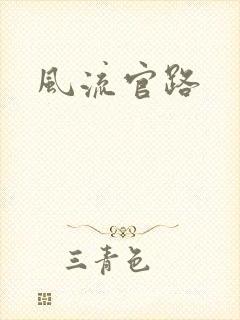 风流官路