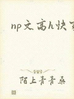 np文高h快穿