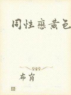 同性恋黄色录像封面