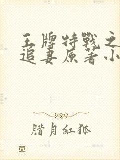 王牌特战之军少追妻原著小说
