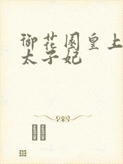 御花园皇上撞着太子妃