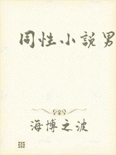 同性小说男男封面