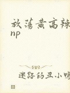 放荡黄高辣h文np封面