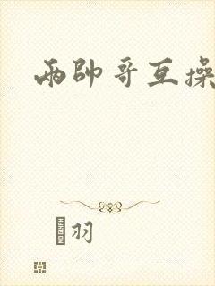 两帅哥互操封面