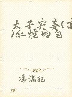 太子宠妾(高肉)红烧肉包